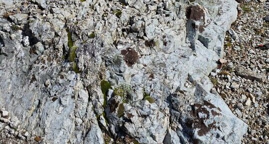Corse - Zicavo - Arcolica - Orthogneiss