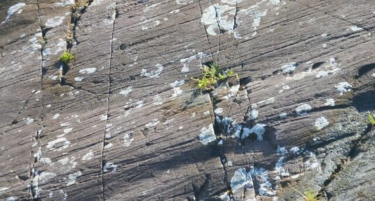 Stries glaciaires dans le Kerry
