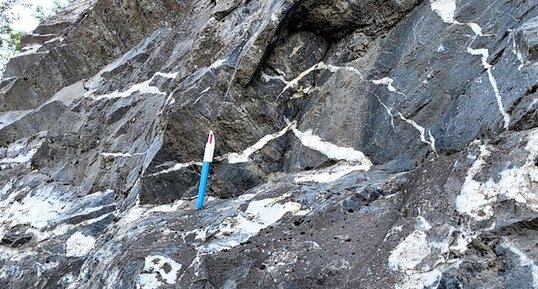 Marbre noir de Corte