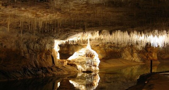 Stalactite dans la galerie du siphon - grottes de Choranche