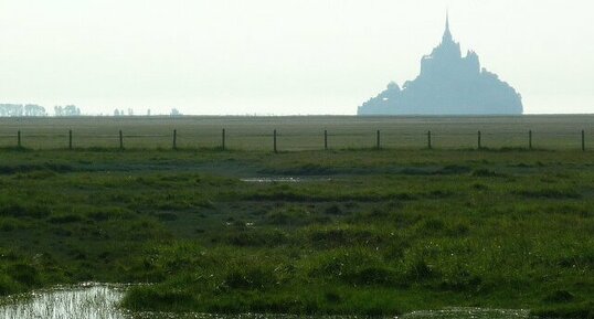 Polder ( baie du Mont St Michel)