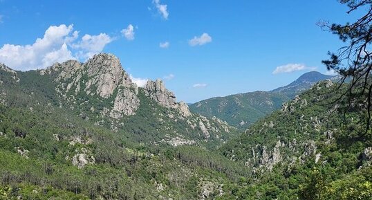 Corse - Venaco - Verghellu - Granite monzonitique leucocrate à grenats