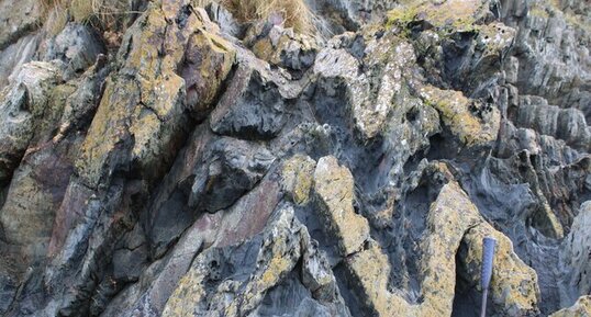 Plis dans les schistes briovériens