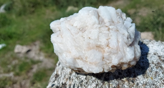 Corse - Zicavo - Quartz laiteux