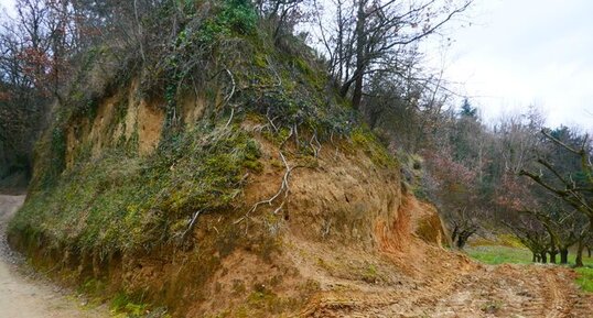 Lœss sur la Montagne du Chatelet à Saint-Désirat