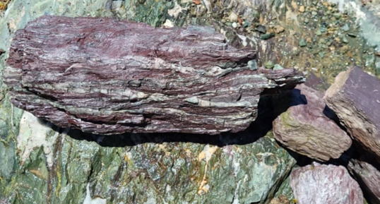 Corse - Vezzani - Radiolarites