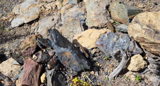 Corse - Osani - Anthracite