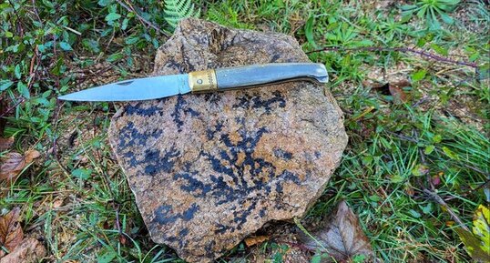 Dendrites de manganèse