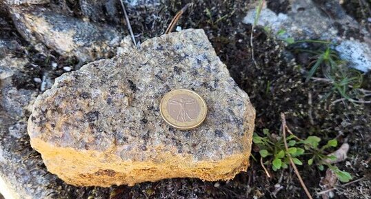 Granite perthitique à hastingsite fayalite