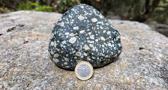 Corse - Bocognano - Gabbro