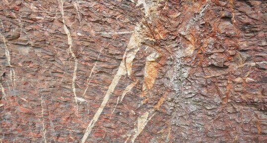 Calcite dans des fractures du marbre griotte des Bessous (Félines-Minervois)