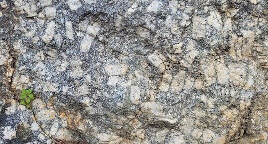 Corse - Cargèse - Granodiorite Porphyrique