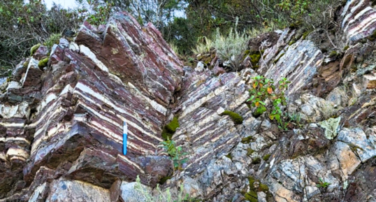 Radiolarites