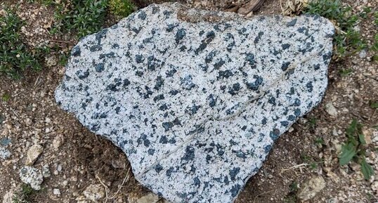Corse - Aullène - Granodiorite à amphiboles