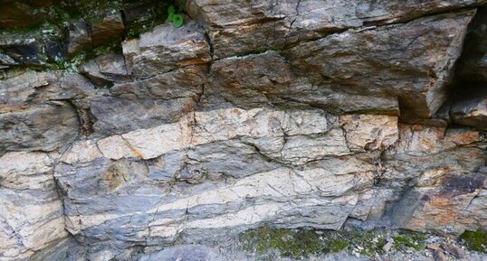 Gneiss migmatitique des gorges du Doux