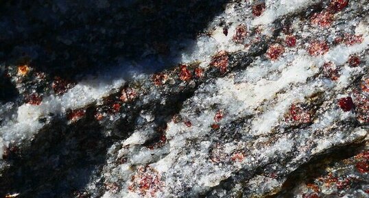 Grenat dans les leptynites des gorges du Doux