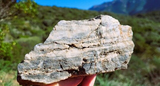 Corse - Villanova - Gneiss Migmatitique