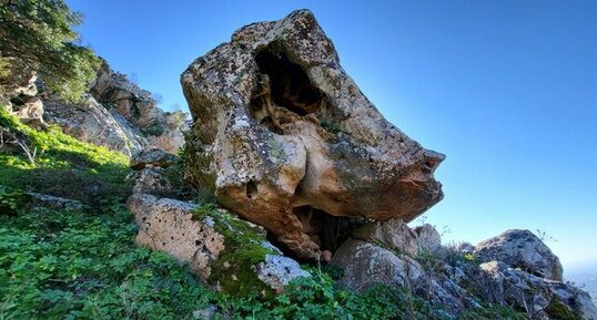 Corse - Ocana - Punta d'Arese -Granite Perthitique à Hastingsite-fayalite