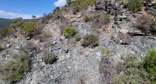 Corse - Pietroso - Serpentinites