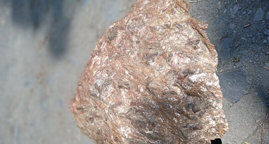 Staurotides sur gangue Mica schiste.