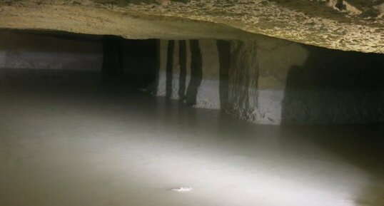 Calcite flottante, Grottes de Savonnières.