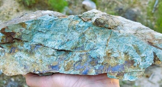 Corse - Muracciole - Schistes bleus