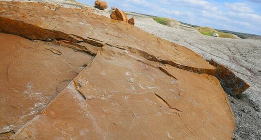 Cernes dans les concrétions de Red Rock Coulee