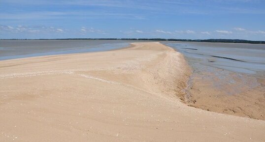 "Dos" de sable coquillier