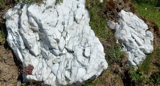Corse - Zicavo - Quartz laiteux