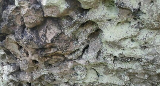 Grès stampien du dolmen de la grenouille.