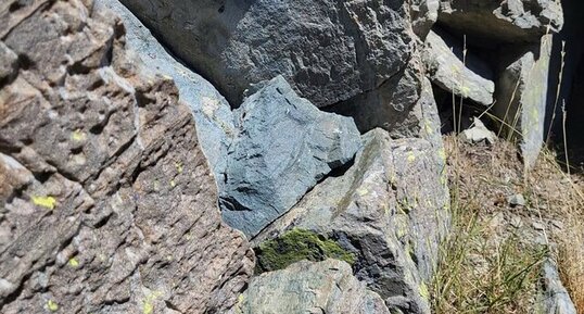 Corse - Vivario - Bocca Palmente - Granodiorite