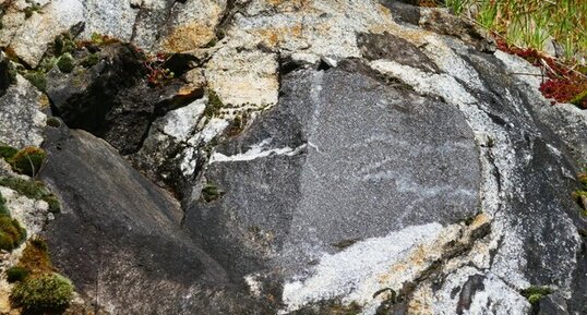 Restites dans les granites des gorges de l'Ay