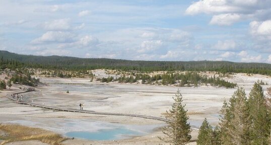 Bassins hydrothermaux de Norris, Yellowstone.