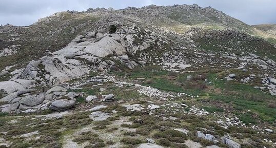 Corse - Aullène - Granodiorite à amphiboles