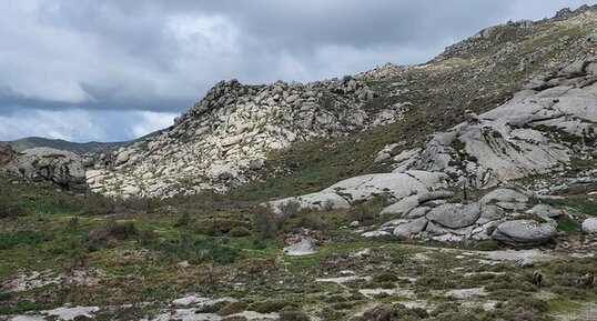 Corse - Aullène - Granodiorite à amphiboles