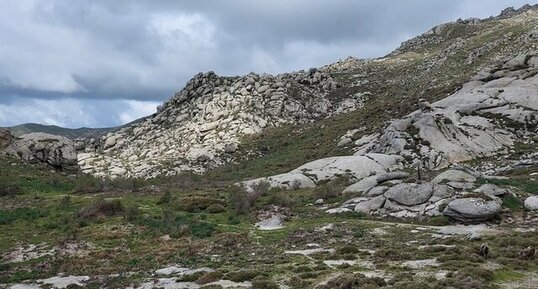 Corse - Aullène - Coscione - Granodiorite à amphibole