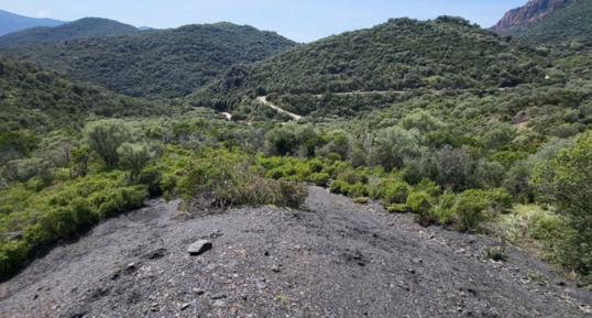 Corse - Osani - Anthracite