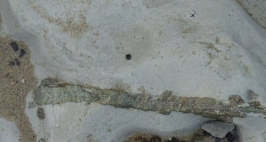 Filon de pyrite et nodules de marcassite, estran du Cap Blanc (...)