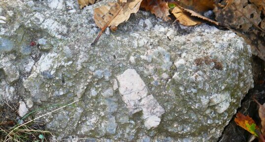 Orthose dans granite porphyrique