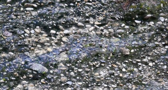 Poudingue pliocène du paléo-delta du Var