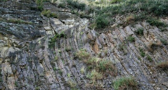 Orgues basaltiques de Marcilly-le-chatel