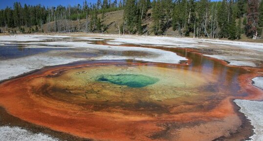 Sources hydrothermales d'Upper Geyser Basin, Yellowstone