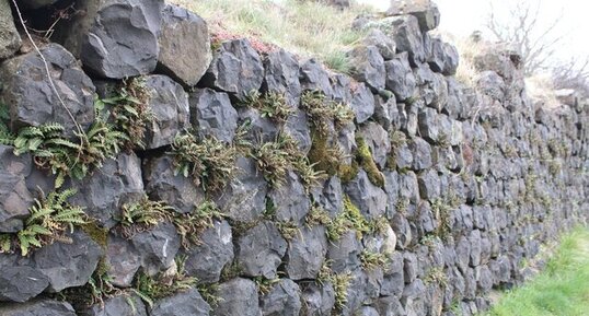 Murs en pierres sèches issues des prismes volcaniques du Rocher de Brion