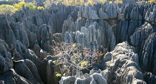 Tsingy de Bemaraha