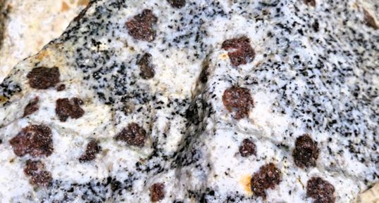 Monzogranodiorite à grenats