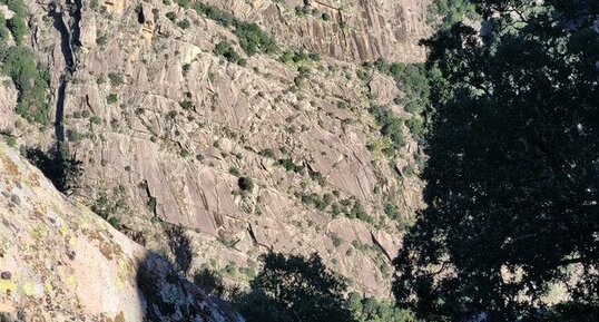 Corse - Ocana - Punta d'Arese -Granite Perthitique à Hastingsite-fayalite