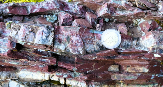 Radiolarites