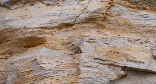 Stratifications entrecroisées dans calcaire bioclastique bathonien.
