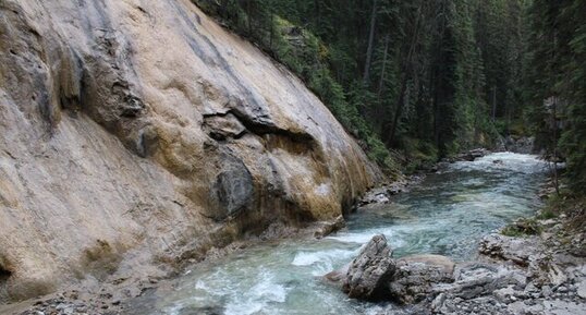 Tuf calcaire travertin