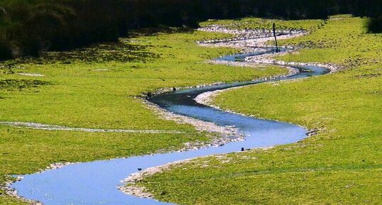 Rivière de vasière à marée basse